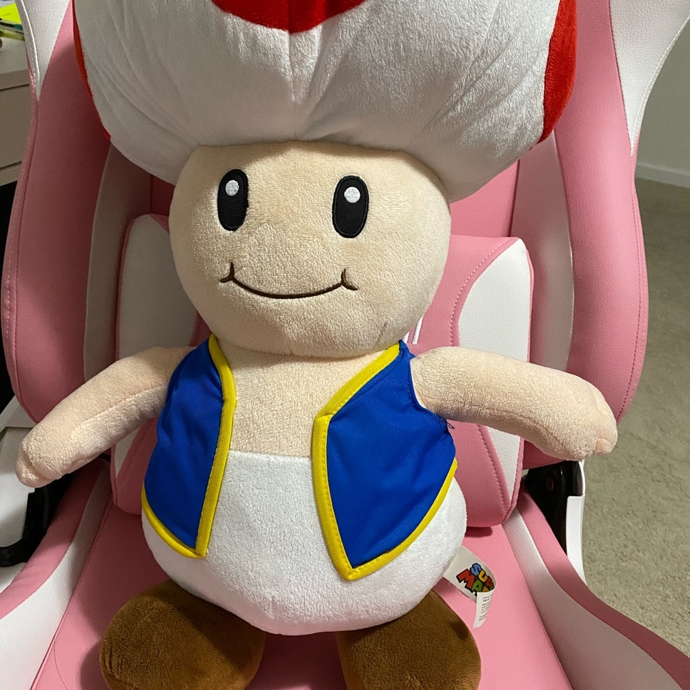Toy
